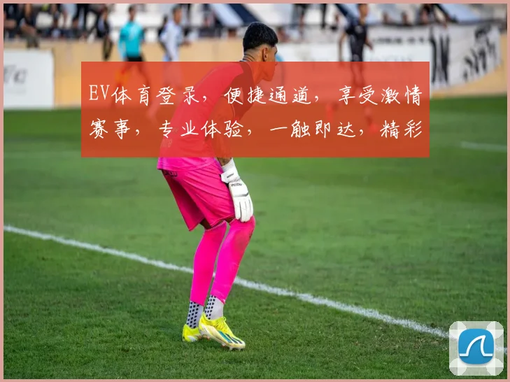 EV体育登录，便捷通道，享受激情赛事，专业体验，一触即达，精彩不容错过，畅享每一刻